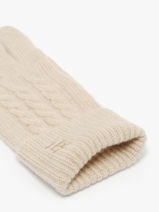 Handschoenen Cachemire Sierra Etrier Beige sierra ESIE431U-vue-porte