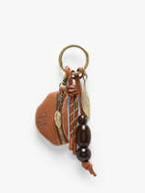 Tashengsel Crocus Woomen Bruin crocus WCRO94