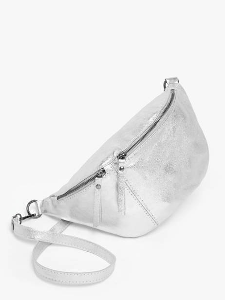 Heuptasje Milano Zilver nine NI24062 ander zicht 2
