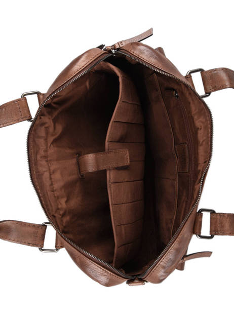 Documententas Basilic pepper Bruin traveler hillowca ander zicht 3