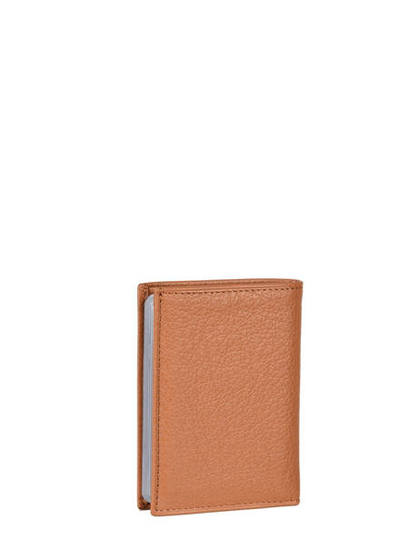 Kaarthouder Leder Hexagona Bruin confort 461007 ander zicht 2